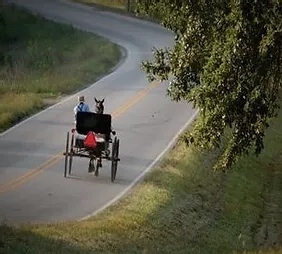 Amish Horse and Buggy