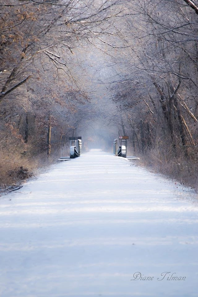 Snow Covered trail