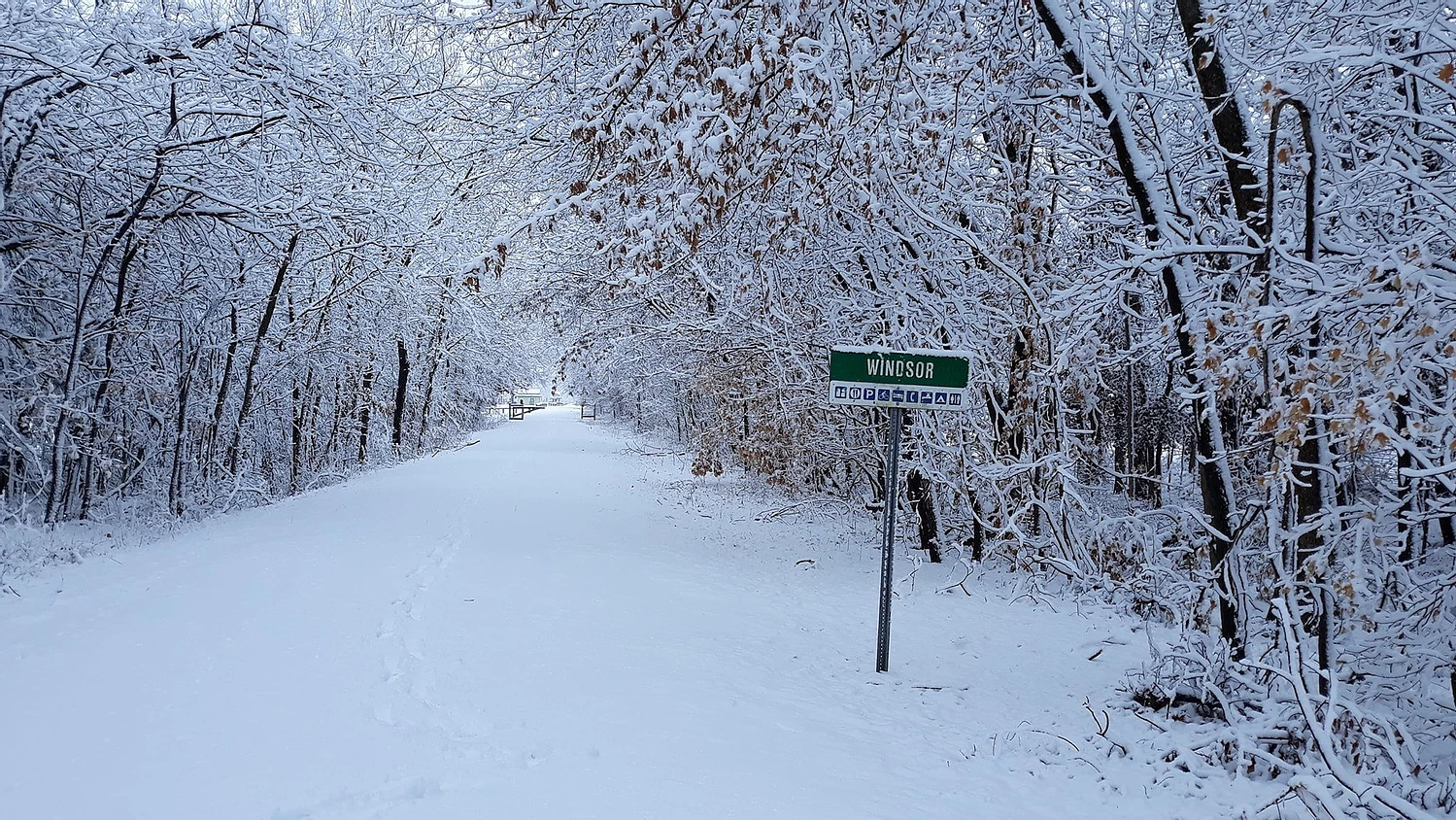 January 24,2020 Snow