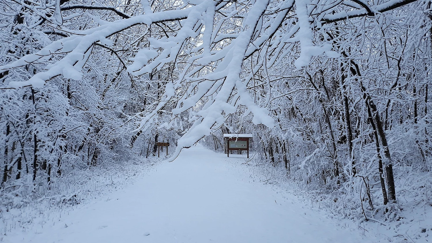 January 24,2020 Snow