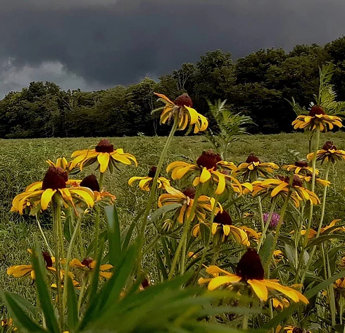 Beauty of The Storm