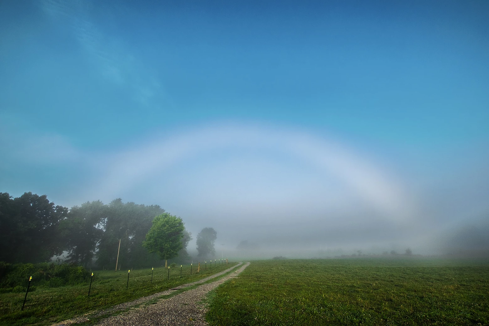 Somewhere Over the Fogbow!