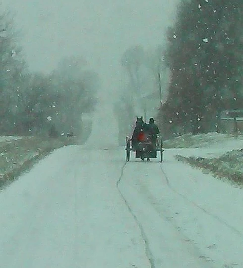 Amish in a Snowstorm