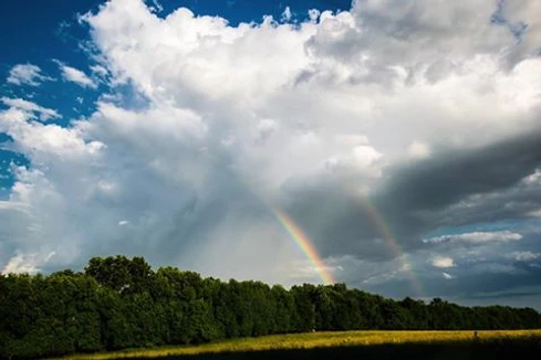 Doris Tilman's Rainbow