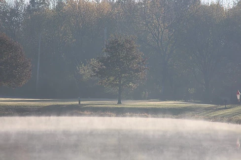 Fog at Farrington Park 